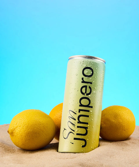 Why San Junipero Exists